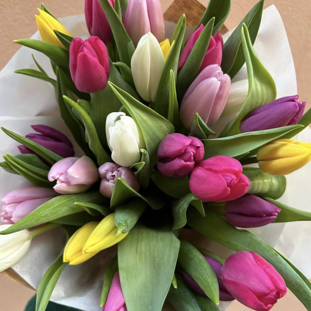 Bosco home tulipani