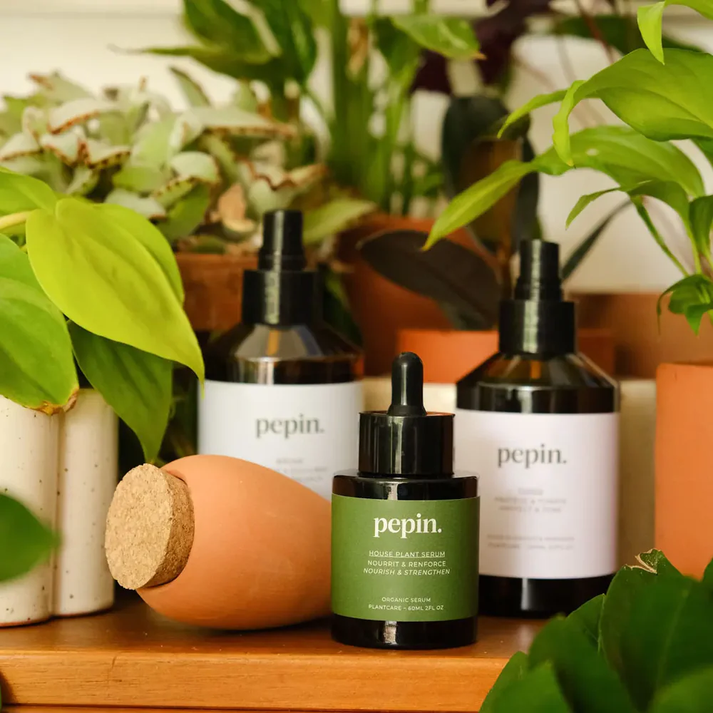 Pepin Kit Routine Plantcare n.2
