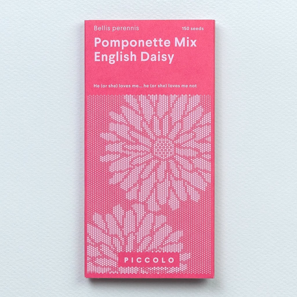 Piccolo Seeds – Pomponette mix English Daisy