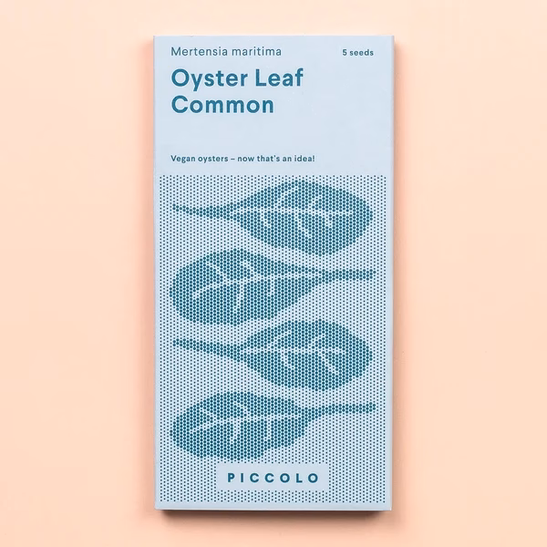 Piccolo Seeds – Oyster Leaf Common