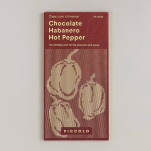Piccolo Seeds – Chocolate Habanero Hot Pepper